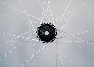 
                  
                    BERD/Stans Crest Gravel Wheel Set
                  
                