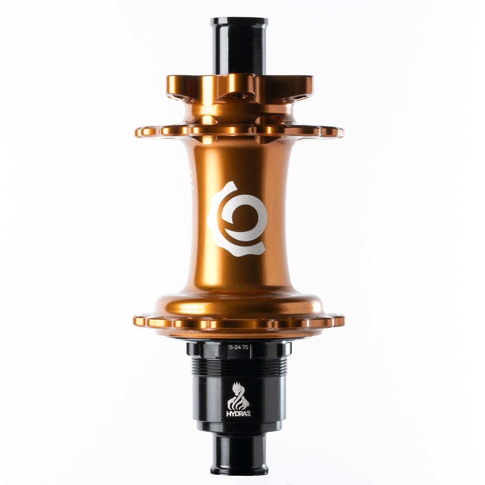 Hydra 2 Hubs with NOBL Rims